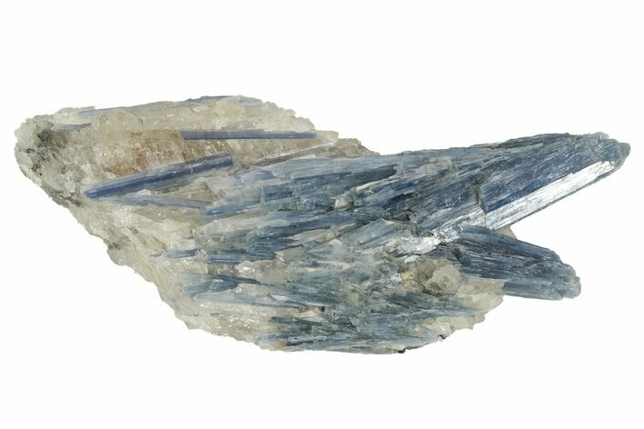 Vibrant Blue Kyanite Crystals In Quartz Brazil For